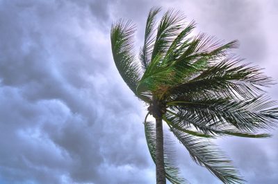 Wild weather is coming - prepare and plan for severe weather conditions